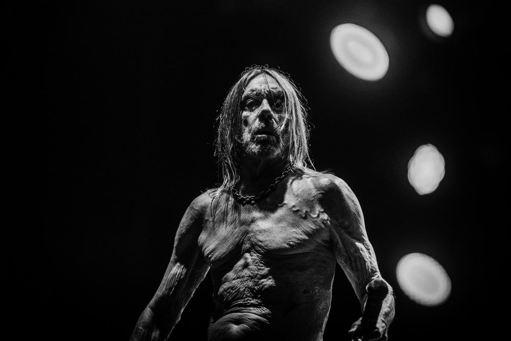 Rock,Every Loser,Andrew Watt,Vincent Guignet, Iggy Pop,