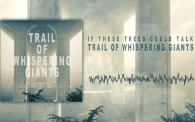 If These Trees Could Talk Trail Of Whispering Giants Official